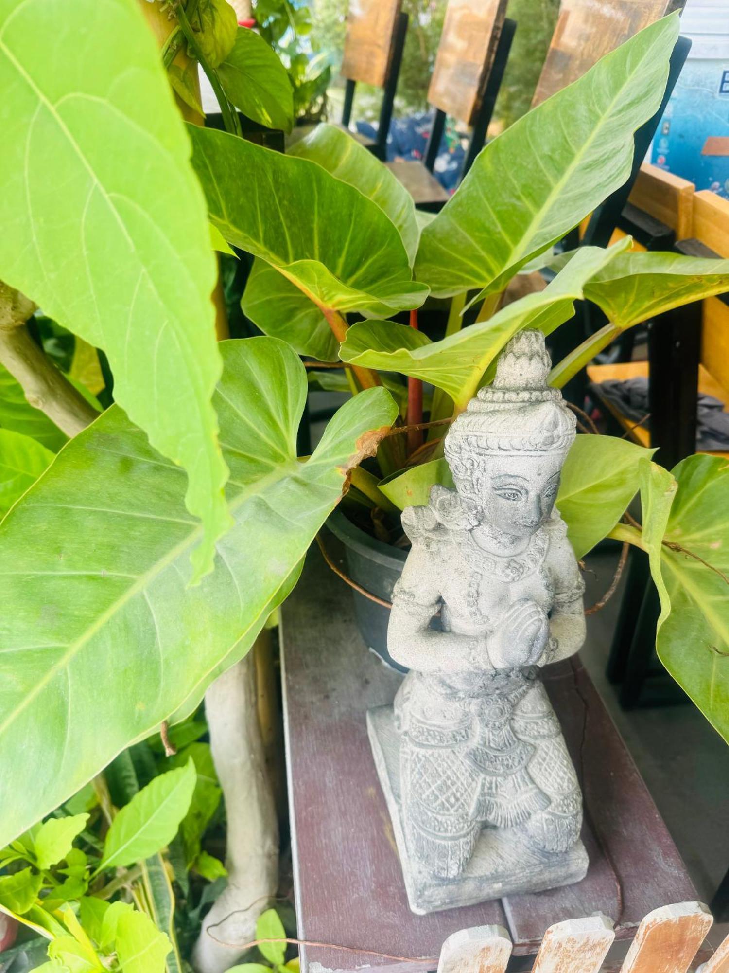 清邁 清迈熊猫青年旅馆旅舍 外观 照片
